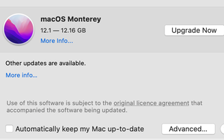 Cách khắc phục lỗi không thể cập nhật macOS 12.1 Monterey