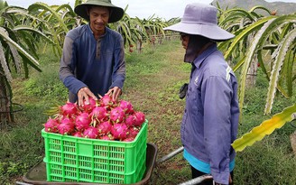 Chuyện không bao giờ cũ