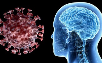 Mỹ: Phát hiện manh mối vì sao nhiễm Covid-19 nhẹ vẫn bị ảnh hưởng đến não