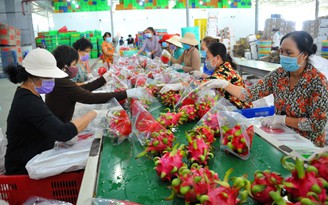 Nông, thủy sản lao đao vì thị trường Trung Quốc