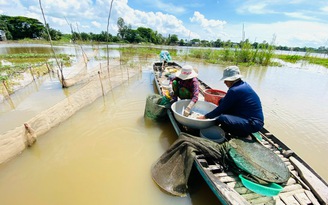 Dân miền Tây 'ngóng' lũ