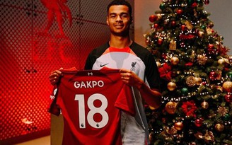 Vì sao Liverpool cần thêm Gakpo?