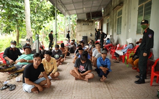 Tây Ninh: Triệt phá trường gà 'mới nổi', thu giữ hàng trăm triệu đồng