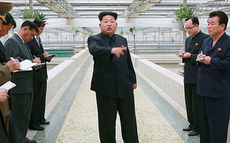 Ông Kim Jong-un nổi giận với trại nuôi rùa làm việc tắc trách