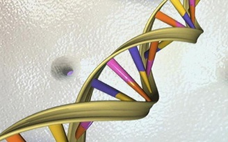 Kỳ diệu ADN có thể lưu dữ liệu số trong 2.000 năm