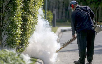 Thái Lan phát hiện virus Zika, WHO công bố tình trạng khẩn cấp toàn cầu