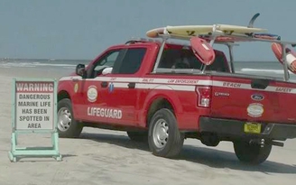 Cá mập tấn công 3 người trong 3 giờ ở Florida
