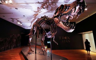 Hóa thạch xịn long bạo chúa với giá thành kỷ lục ngay sát 32 triệu USD