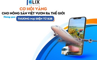 Cơ hội nào cho thương mại điện tử B2B Việt Nam vươn tầm quốc tế?