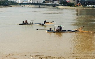 Cá trên sông Sài Gòn vẫn bị tận diệt