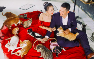 Cặp đôi chụp ảnh cưới cùng 300 chó mèo: Không sinh con, dành tiền nuôi thú cưng