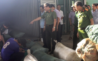 Phó thủ tướng thường trực Trương Hòa Bình biểu dương vụ bắt ngà voi, vảy tê tê
