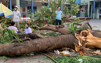 Phải làm gì để tránh gặp nạn khi đi học mùa mưa?