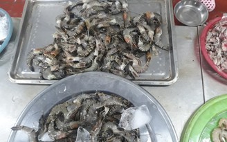 Đà Nẵng: Kết quả kiểm nghiệm chất màu trắng trong đầu tôm ở chợ Nại Hiên Đông