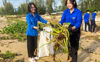 Đà Nẵng: Người trẻ chung tay dọn sạch bãi biển sau bão Noru