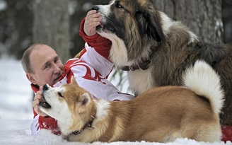 [Chùm ảnh] Tổng thống Nga - người yêu động vật