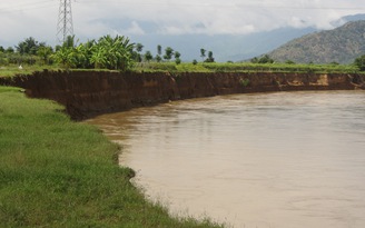Sông Dinh bị sạt lở, đe dọa trụ điện cao thế 220 kV