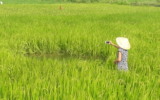 'Hố tử thần' mọc lên giữa đồng, người dân xôn xao