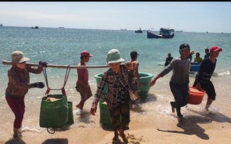 Ngư dân Ninh Thuận trúng lộc biển: Thu nhập cả triệu đồng/ngày nhờ ruốc