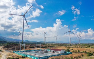 Ninh Thuận đưa vào vận hành nhà máy điện gió công suất 46,2 MW