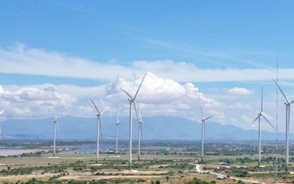 Ninh Thuận: Khánh thành nhà máy điện gió công suất 46,2MW