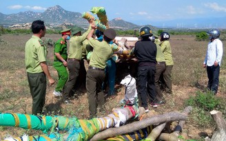 Ninh Thuận: Lâm tặc đánh trọng thương nhân viên bảo vệ rừng