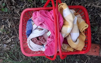 Ninh Thuận: Bé trai sơ sinh nặng 3,2 kg bị bỏ rơi bên tỉnh lộ 705
