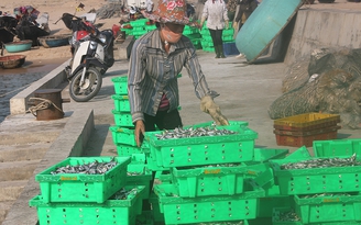 Tòa án trả lại 506 đơn khởi kiện Formosa của người dân