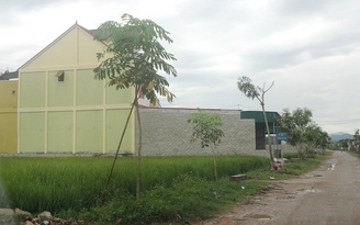 Bí thư kiêm chủ tịch UBND xã bị cách chức vì bán đất như bán... rau