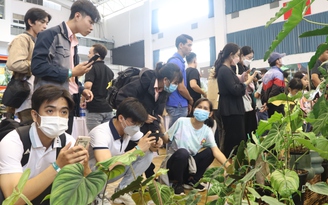 Hàng ngàn người trẻ đi xem loại cây 'đếm lá tính tiền', có cây giá tiền tỉ