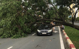 TP.HCM: Gió quật ngã hàng loạt cây xanh đường Võ Văn Kiệt, đè trúng 3 ô tô