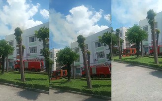 TP.HCM: Khống chế vụ cháy tại trụ sở UBND P.Tân Tạo, Q.Bình Tân