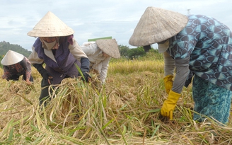 Phát động cuộc thi dùng công nghệ thay đổi nông nghiệp