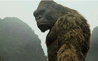 'Phim Kong mà không về con vật thì có khi không được quay ở Việt Nam'