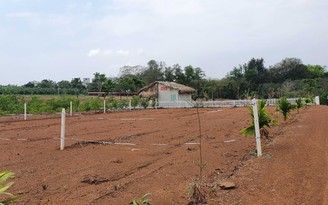 Đồng Nai: Diện tích tối thiểu đất nông nghiệp ở nông thôn sau tách thửa là 2.000 m2