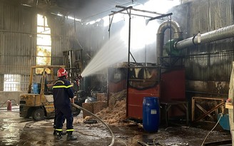 Đồng Nai: Cháy lớn tại một xưởng gỗ ở TP.Biên Hòa