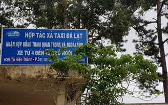 'Hậu chuyện' Giám đốc dùng bằng tốt nghiệp ĐH giả: Taxi Đà Lạt được phép 'lăn bánh'