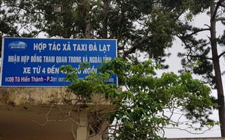 'Hậu chuyện' Giám đốc dùng bằng tốt nghiệp ĐH giả: Taxi Đà Lạt được phép 'lăn bánh'