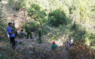 Mật phục, bắt quả tang 3 người phá rừng phòng hộ giữa đèo Tà Nung