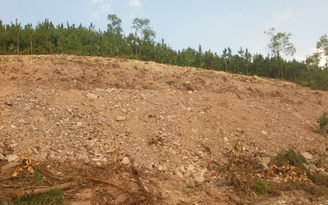 Vụ San ủi đất rừng để chiếm đất ở Lâm Đồng: Ban Quản lý rừng nói gì?