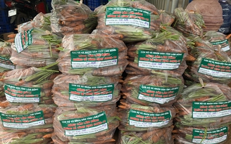 Lâm Đồng mỗi ngày hỗ trợ TP.HCM hơn 200 tấn rau, củ, quả