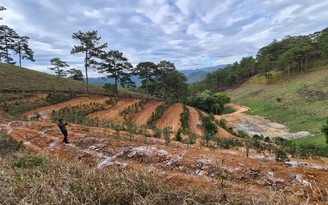 Lâm Đồng: Rừng gần khu vực thác Prenn tiếp tục bị lấn chiếm, san ủi trái phép