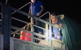 Quảng Ninh: 19 người trốn trong xe chở lợn hòng 'thông chốt' kiểm soát dịch Covid-19