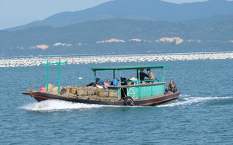 Quảng Ninh: Chìm tàu trên vịnh Bái Tử Long, 2 mẹ con tử vong