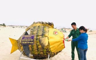 Con cá chép “ăn rác” ở bãi biển Hải An