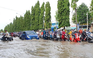 Làm sao phát triển bền vững đồng bằng sông Cửu Long?