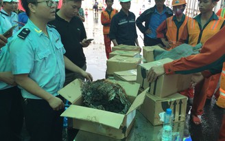 Phát hiện 3,6 tấn lá khát nhập vào cảng Hải Phòng