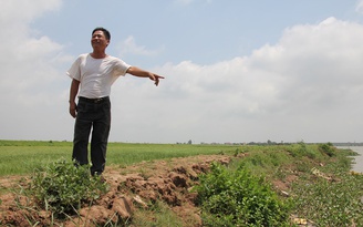 'Tự dưng thấy' bia đá 'liên quan đến mộ chí Trạng Trình Nguyễn Bỉnh Khiêm'
