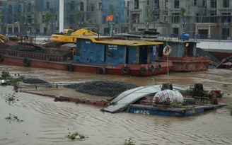 Sà lan chở than chìm trên sông Tam Bạc