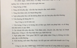 Tiền ăn trưa 12.000 đồng, công nhân ở Hải Phòng đình công: Nhà máy hứa tăng